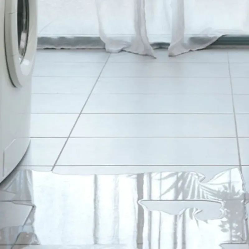 Appliance Leak Cleanup in Clayton, GA
